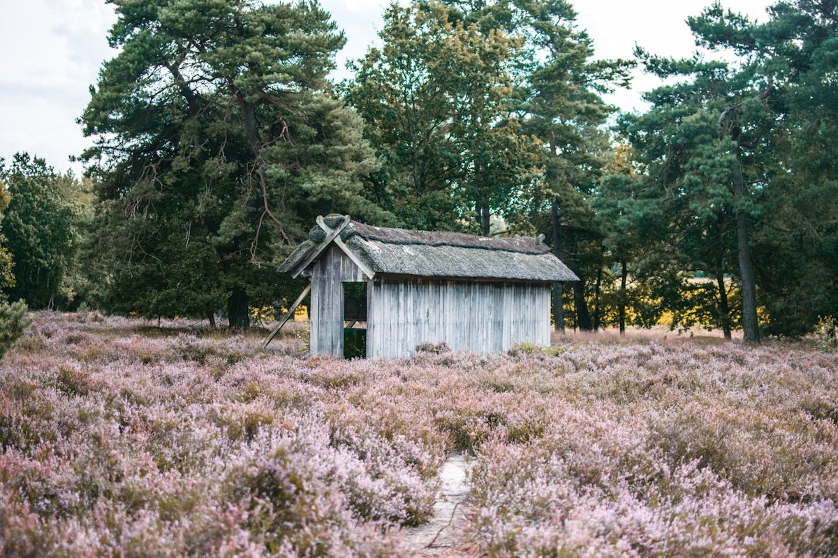 Gudrun: Exploring the Battle Echoes and Blessed Light of This Storied Norse Name - Oli Prik Copenhagen