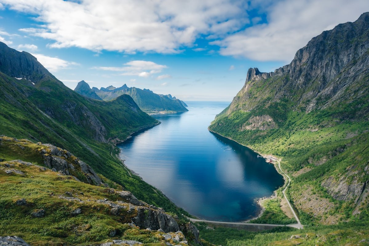 Søren: Unraveling the Mystical Virtue of This Timeless Scandinavian Name - Oli Prik Copenhagen