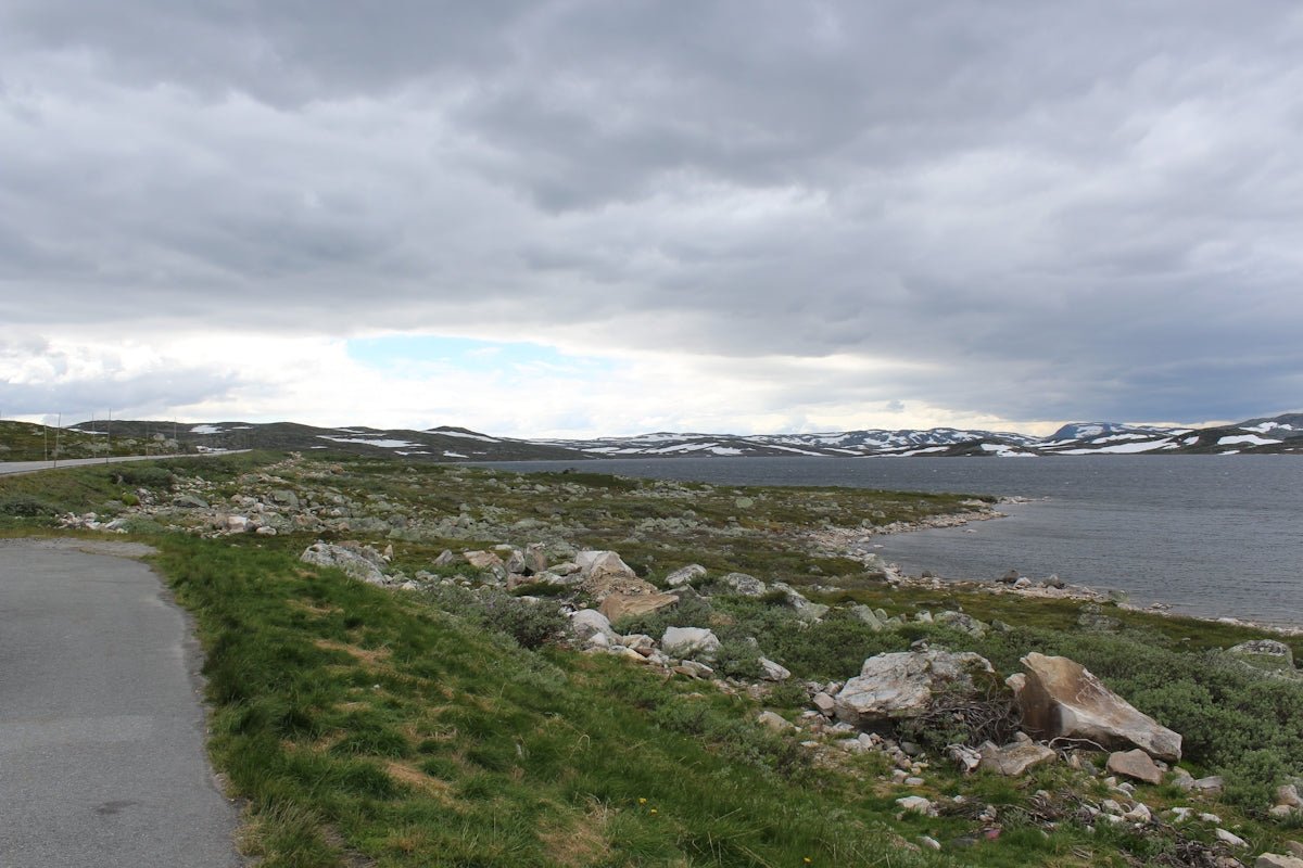 Comparative Analysis of Scandinavian Baby Names Across Different Capitals - Oli Prik Copenhagen