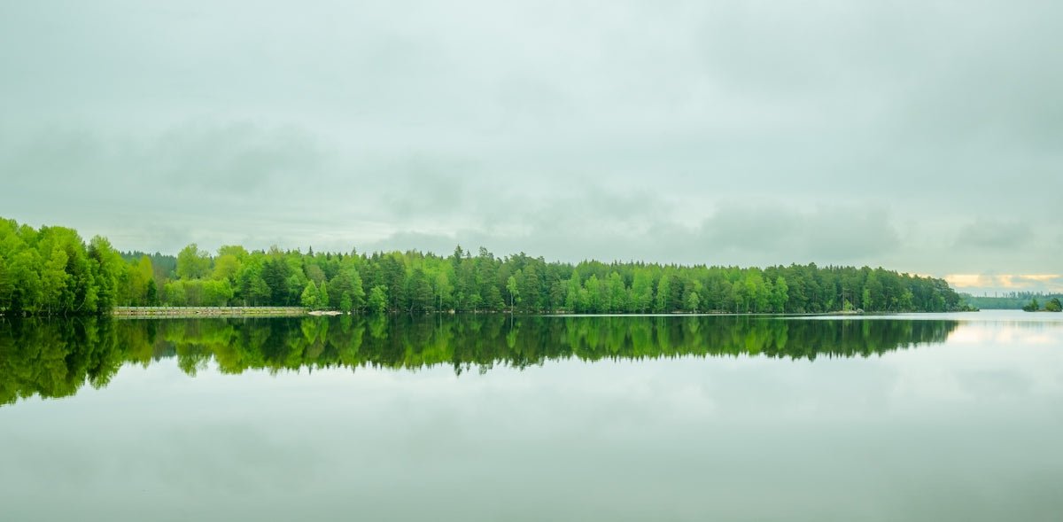 Leif: Branching into the Legacy of Nordic Explorers - Oli Prik Copenhagen