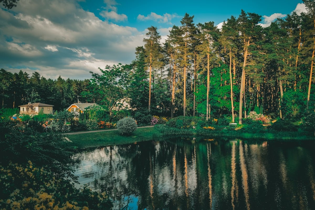 Runa: Discovering the Mystical Whisper and Collected Lore of This Nordic Memoir Name - Oli Prik Copenhagen