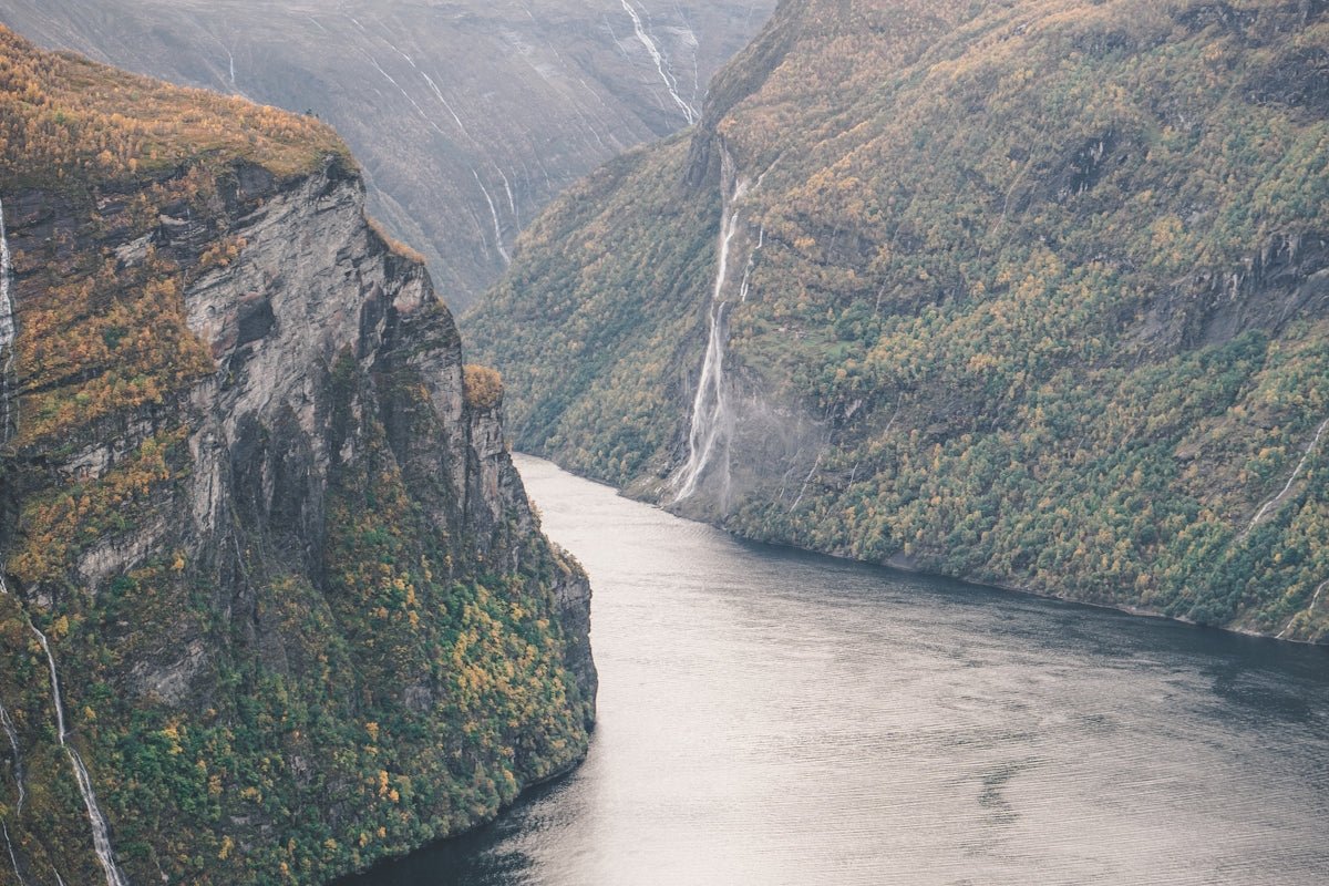 Roald: Honoring the Proud Explorer's Tale in Scandinavian Culture - Oli Prik Copenhagen
